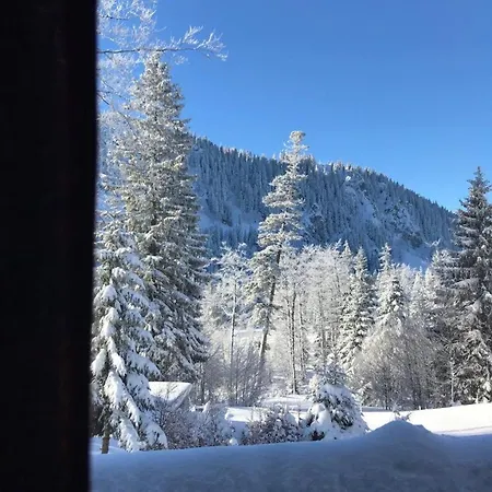 - Alpina Tatil Evi