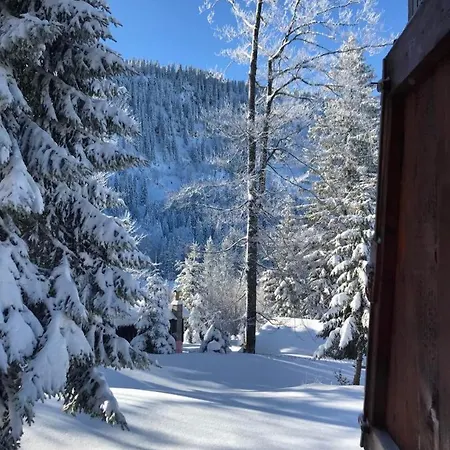 - Alpina * Jahorina