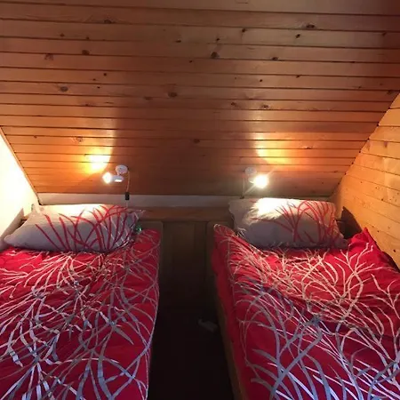 - Alpina Tatil Evi *